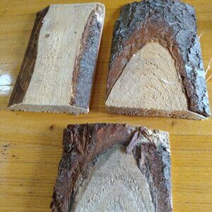 3 Real Wood Live Edge Pieces Plaques Rustic Decor Crafts